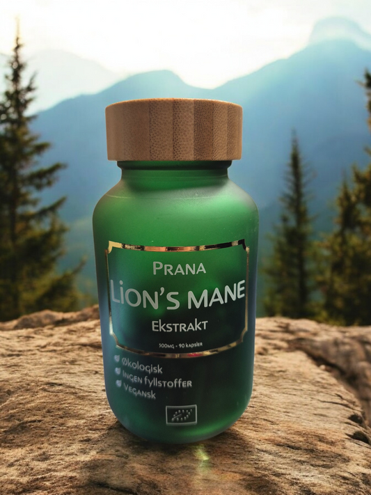 Lion's Mane 500mg - 90 capsules